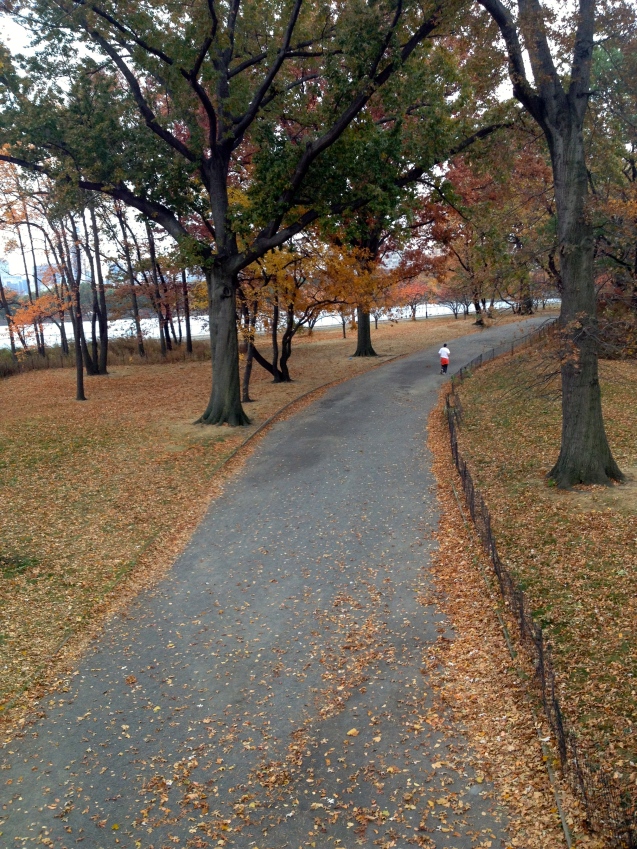 A tree-lined path in a park on a beautiful fall day with the jogger running.